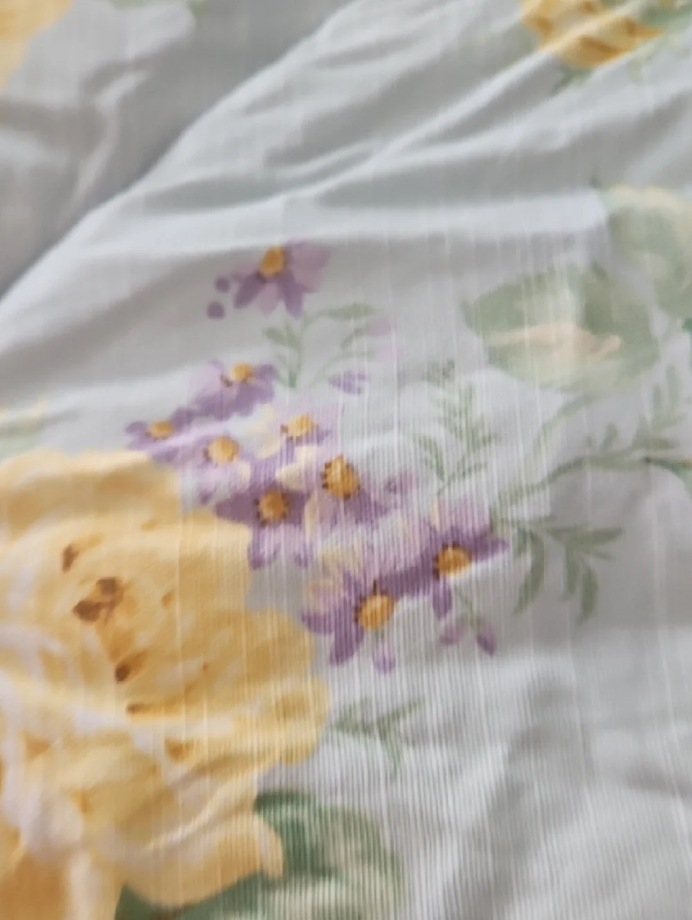 Laura Ashley Lifestyle Pale Blue Yellow Rose Green Stipes Cotton Comforter Shams